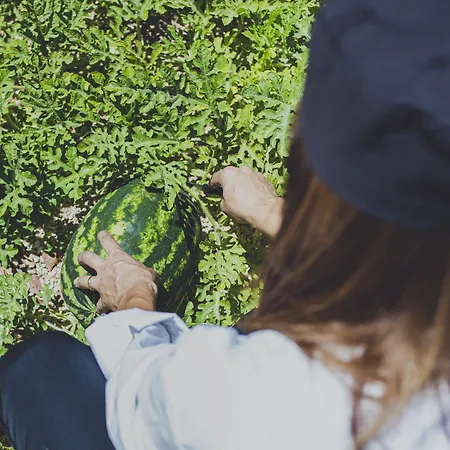 Apartmanhotel Caprice Kosher Néo Horió