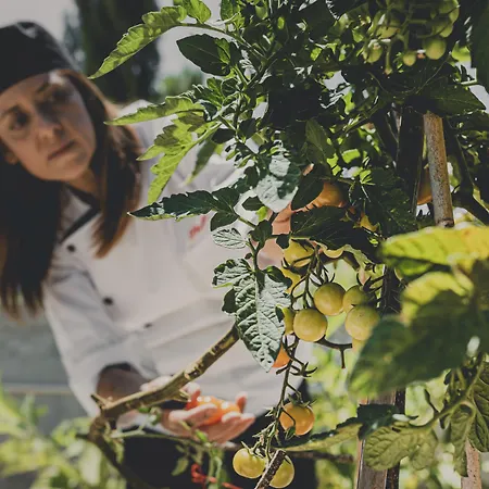 Caprice Kosher Néo Horió