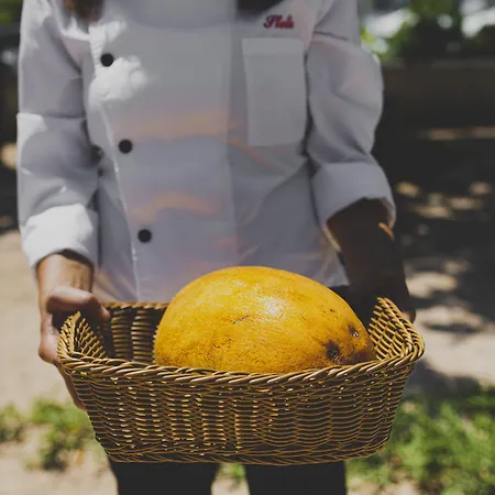 Apartmanhotel Caprice Kosher