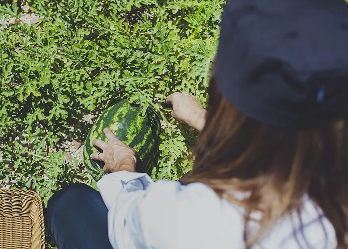 Apart Otel Caprice Kosher Neo Chorio