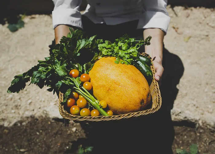 Caprice Kosher Apart Otel 4*